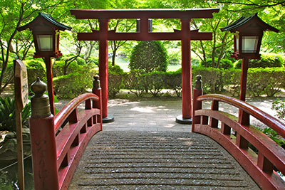 torii torii