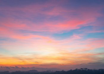 fuyu-yeo-jN329Z_wEYQ-unsplash