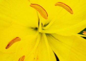 jb-u-GchQ5WponLI-unsplash