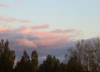 natali-bredikhina-BrRflhEmDSQ-unsplash