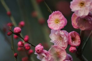 wang-xiang-6r1KFpF7V00-unsplash